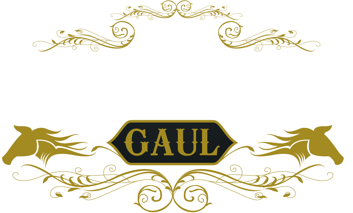 Zum Dampfenden Gaul